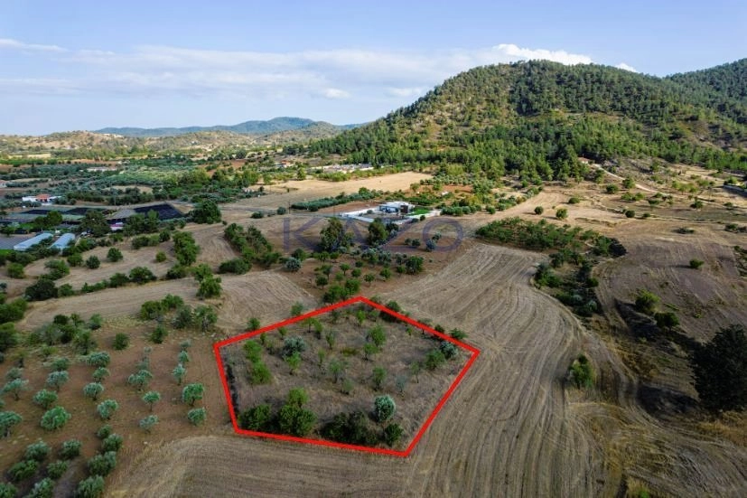 2,007m² Plot for Sale in Klirou, Nicosia District