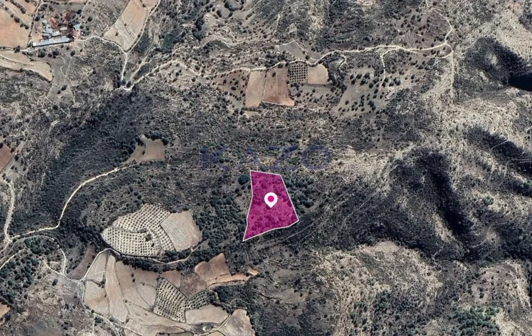 18,061m² Plot for Sale in Dora, Limassol District