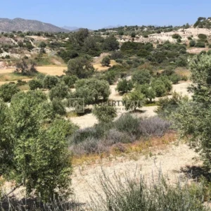 32,615m² Plot for Sale in Monagroulli, Limassol District