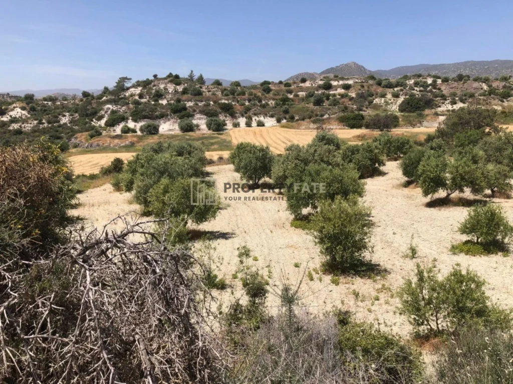 32,615m² Plot for Sale in Monagroulli, Limassol District