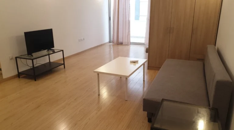 1 Bedroom Apartment for Rent in Limassol District
