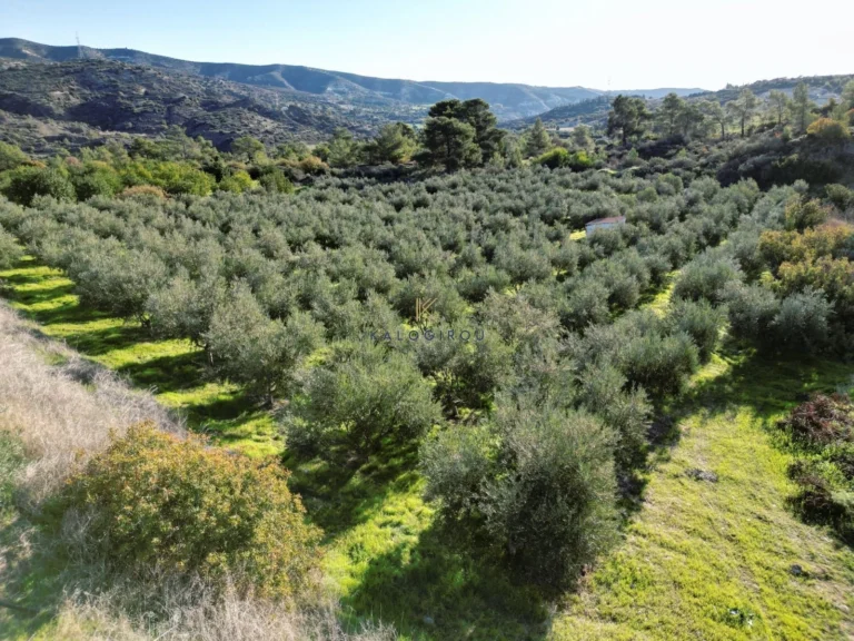 7,024m² Plot for Sale in Kalavasos, Larnaca District