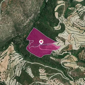 26,417m² Plot for Sale in Koili, Paphos District