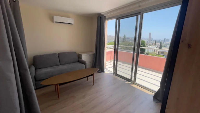 1 Bedroom Apartment for Rent in Limassol District