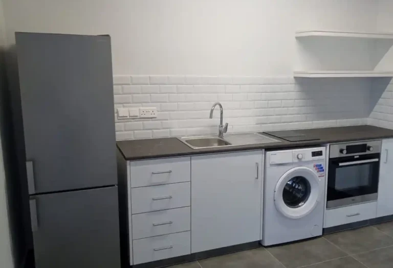 1 Bedroom Apartment for Rent in Limassol District
