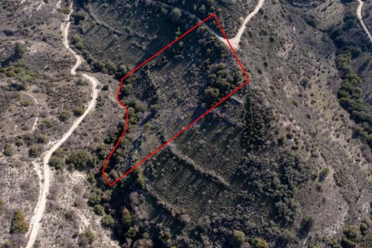 10,703m² Plot for Sale in Dora, Limassol District