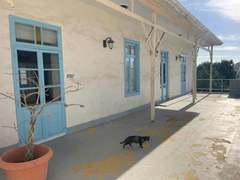 800m² Building for Sale in Limassol