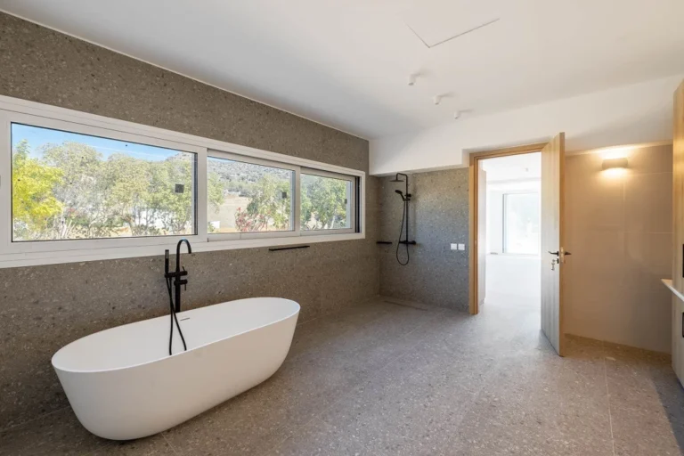 6+ Bedroom House for Sale in Akrounta, Limassol District