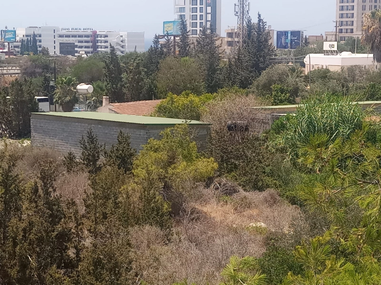 for Sale in Parekklisia, Limassol District