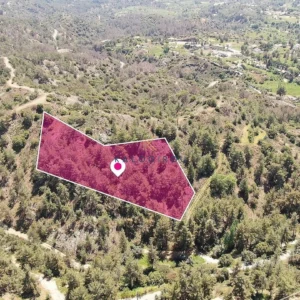 7,810m² Plot for Sale in Pera Pedi, Limassol District