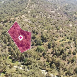 7,810m² Plot for Sale in Pera Pedi, Limassol District