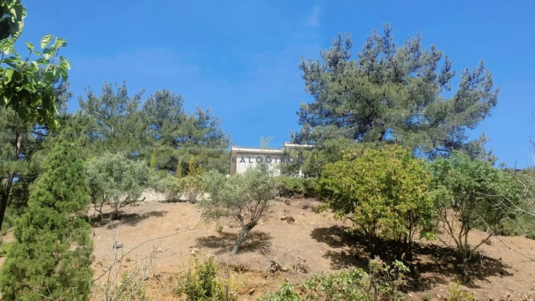 3 Bedroom House for Sale in Vavatsinia, Larnaca District