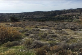24,274m² Plot for Sale in Kalavasos, Larnaca District