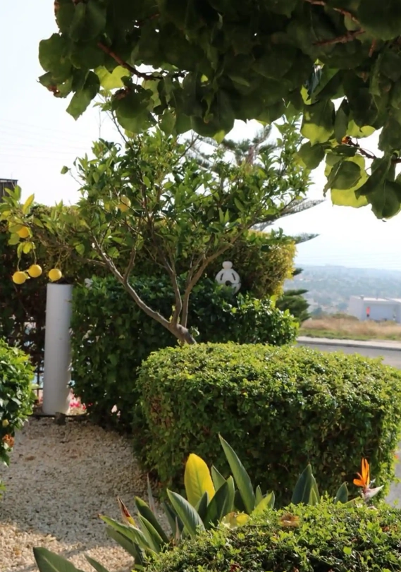 Paphos