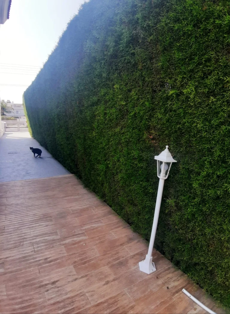 4 Bedroom House for Rent in Potamos Germasogeias, Limassol District