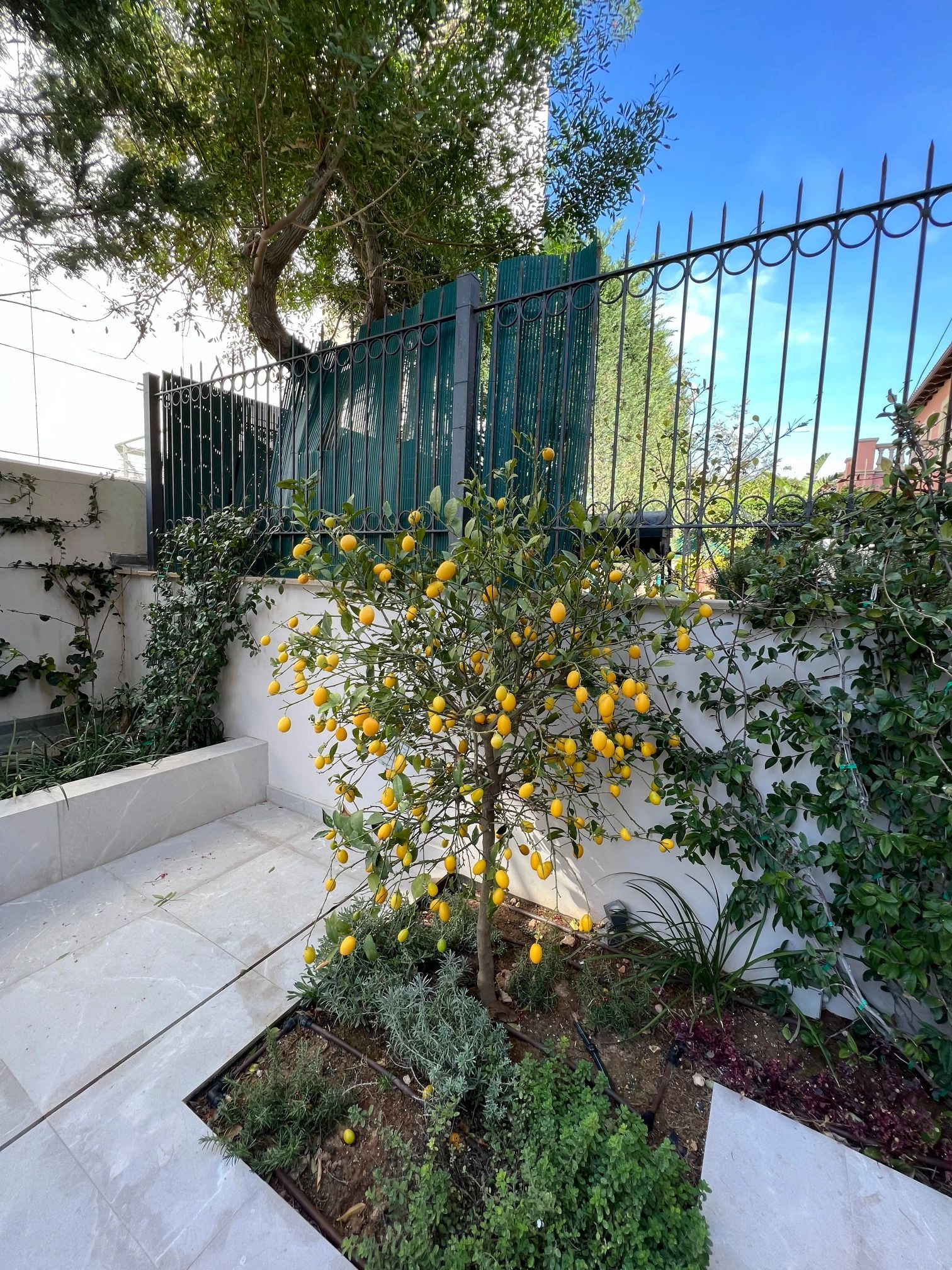 2 Bedroom Apartment for Rent in Limassol District