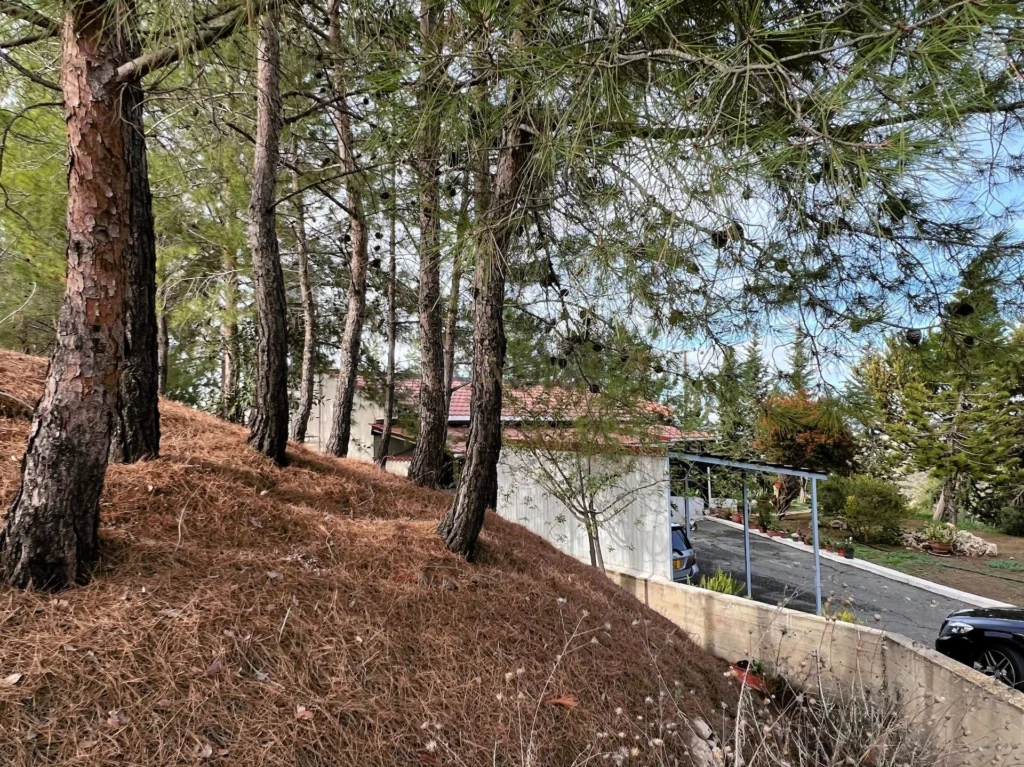2 Bedroom House for Sale in Agia Varvara Lefkosias, Nicosia District