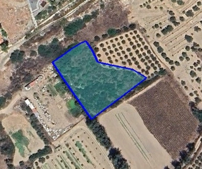 for Sale in Limassol District