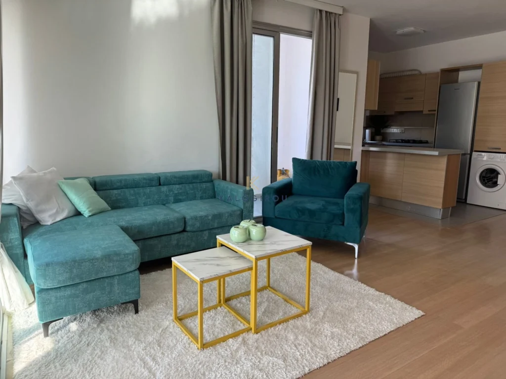 2 Bedroom Apartment for Rent in Larnaca District