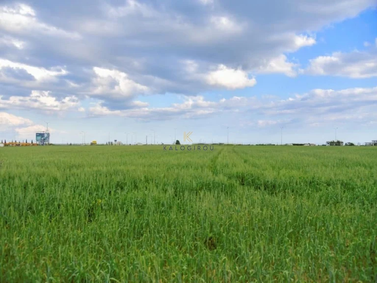 2,805m² Plot for Sale in Dromolaxia, Larnaca District