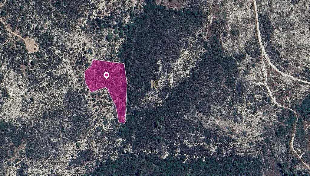 6,689m² Plot for Sale in Anogyra, Limassol District
