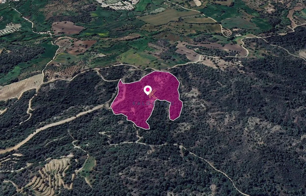 13,462m² Plot for Sale in Lysos, Paphos District