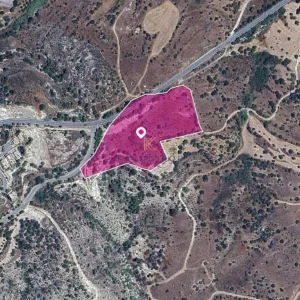 4,432m² Plot for Sale in Pentalia, Paphos District