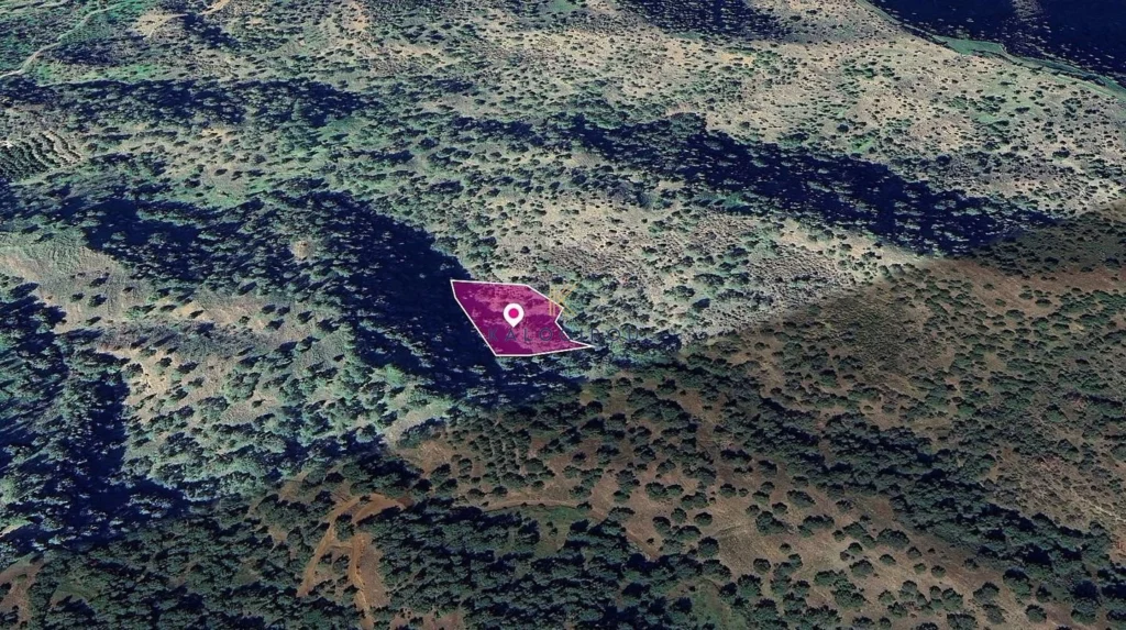 6,021m² Plot for Sale in Pomos, Paphos District