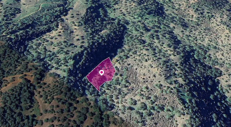 6,021m² Plot for Sale in Pomos, Paphos District
