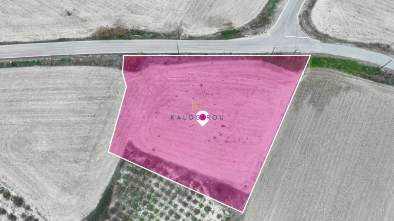 4,014m² Plot for Sale in Mazotos, Larnaca District