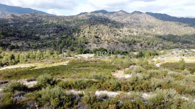 25,284m² Plot for Sale in Agios Mamas, Limassol District