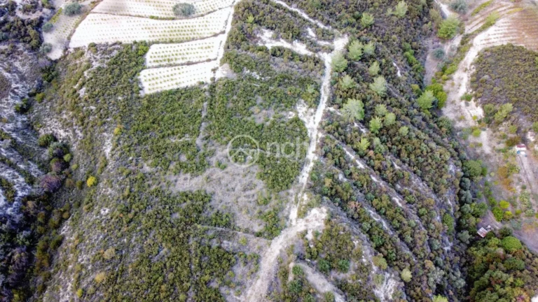 25,284m² Plot for Sale in Agios Mamas, Limassol District