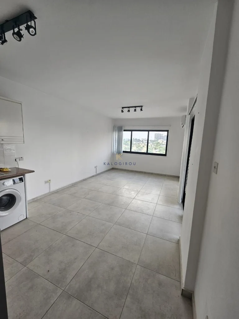 1 Bedroom Apartment for Rent in Larnaca District