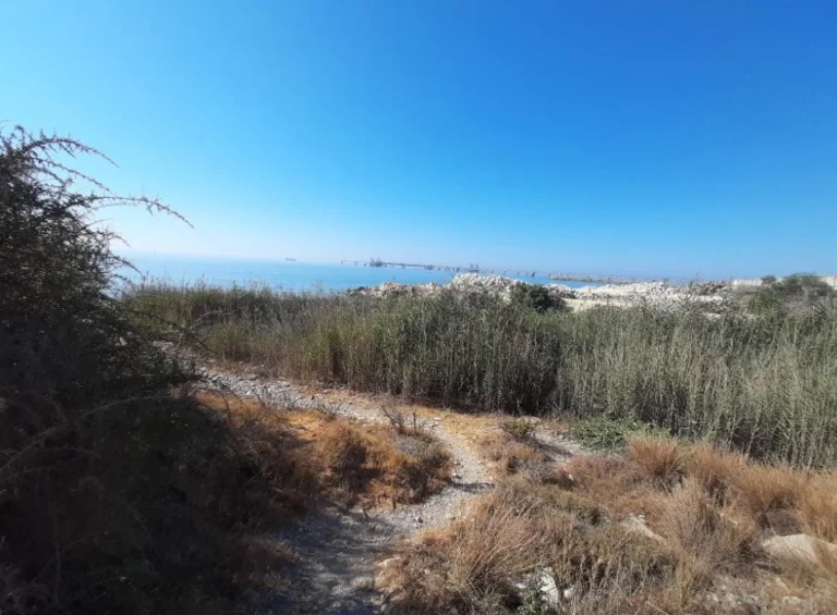 Larnaca
