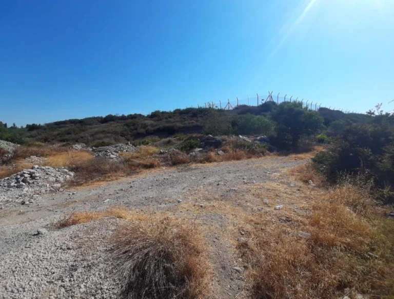 Larnaca