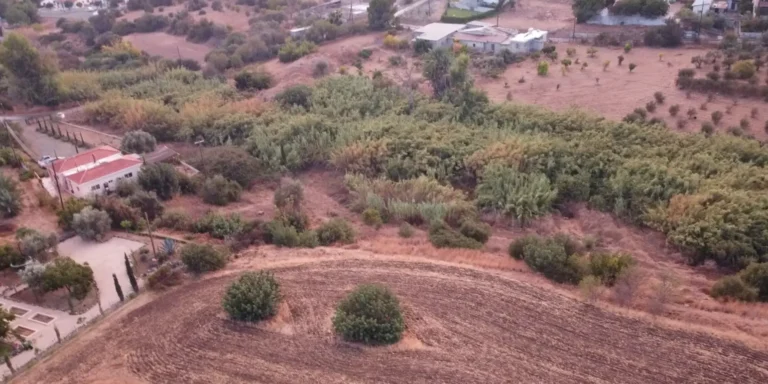 7,358m² Plot for Sale in Pyrgos Lemesou, Limassol District