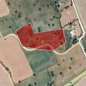 8,696m² Plot for Sale in Agios Theodoros, Larnaca District