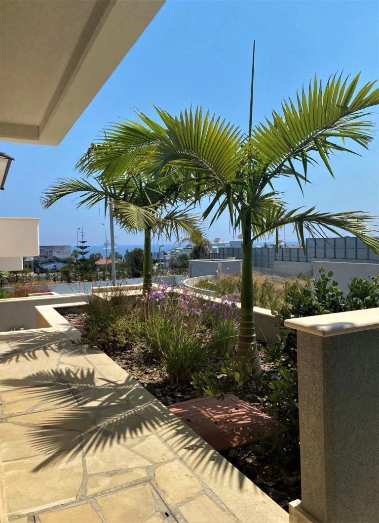 4 Bedroom House for Sale in Agios Tychonas, Limassol District