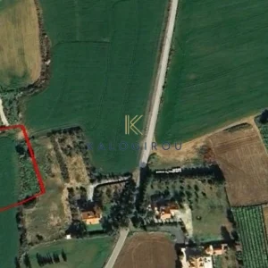 7,135m² Plot for Sale in Agios Theodoros, Larnaca District