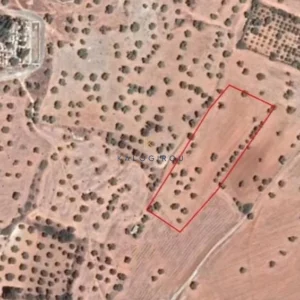 9,031m² Plot for Sale in Mazotos, Larnaca District