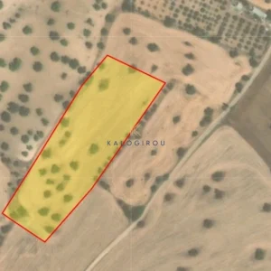 9,031m² Plot for Sale in Mazotos, Larnaca District
