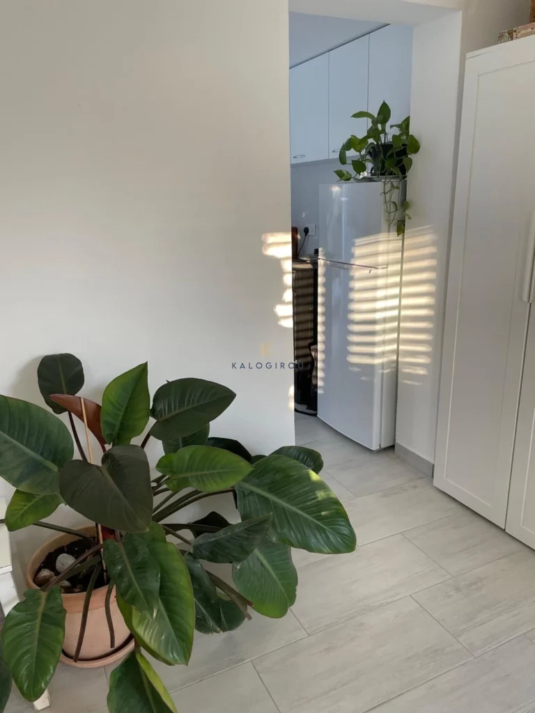 Cheap Houses and Villas for Sale Larnaca