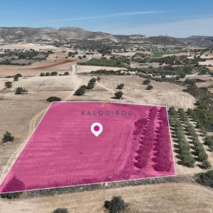 8,027m² Plot for Sale in Agios Theodoros, Larnaca District