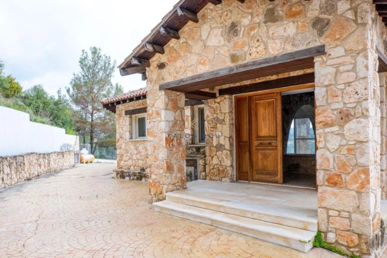 3 Bedroom House for Sale in Neo Chorio Pafou, Paphos District