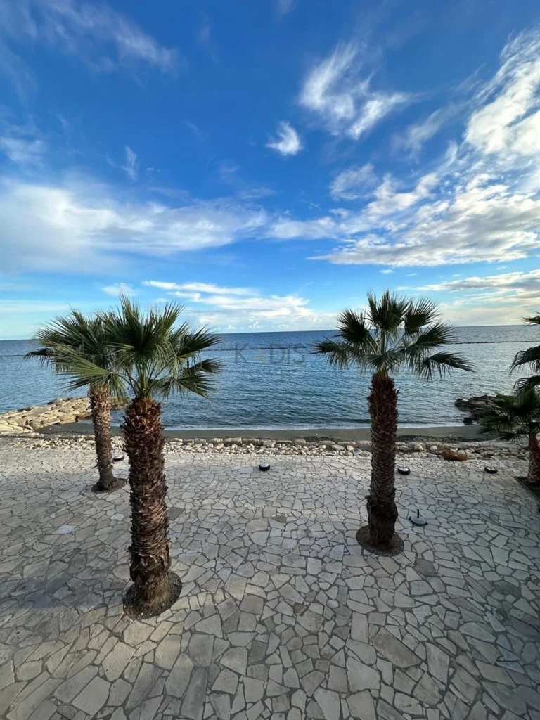 3 Bedroom Apartment for Rent in Limassol District