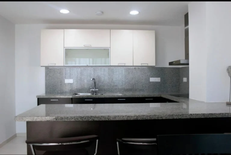 2 Bedroom Apartment for Rent in Limassol District