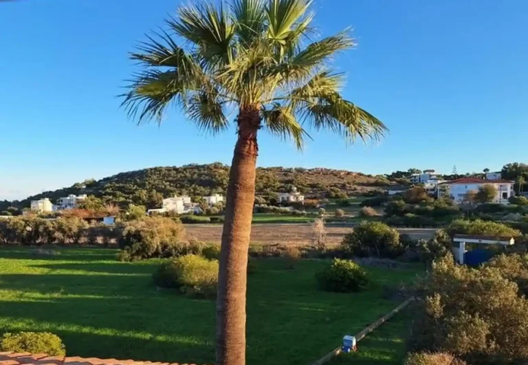 5 Bedroom House for Rent in Protaras, Famagusta District