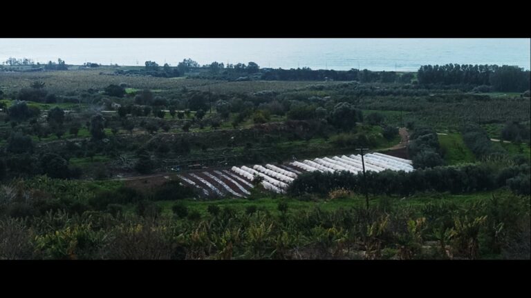 6,000m² Plot for Sale in Pegeia, Paphos District