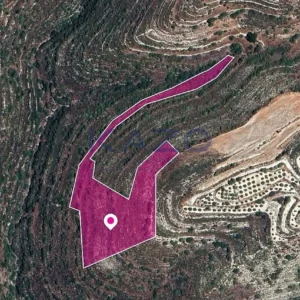 11,372m² Plot for Sale in Agios Therapon, Limassol District