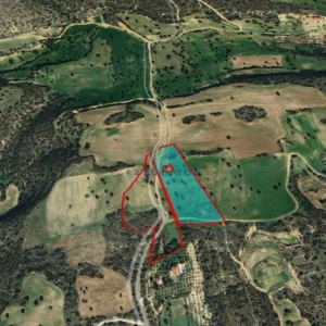 26,800m² Plot for Sale in Agios Theodoros, Larnaca District